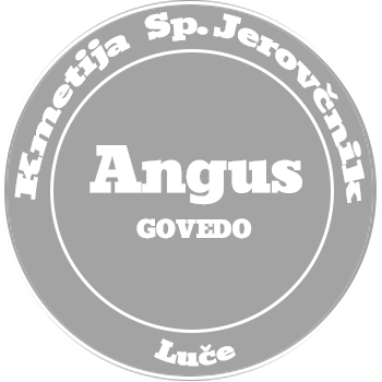 Angus Govedo